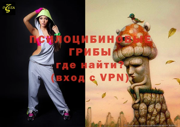 мяу мяу мука Алексин
