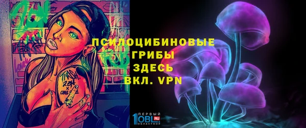 мяу мяу мука Алексеевка